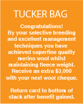 Tucker Bag superfine